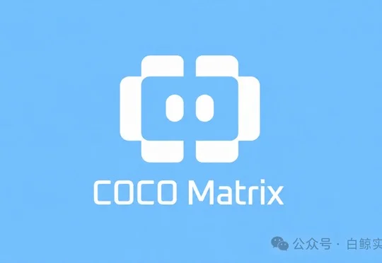对话COCO Matrix高宇翔：难以提前穷举世界，不如「学习适应」世界
