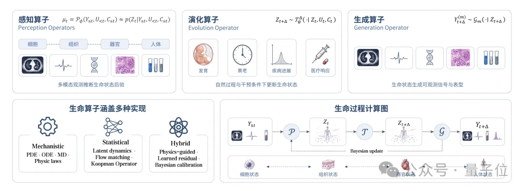 AIVC只是前菜!复旦提出生命算子,统一生命建模