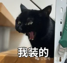 实测星火X2.5：手搓粒子月亮、拆完61页财报……还顺手揪出了我的Bug