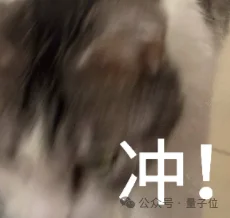 实测星火X2.5：手搓粒子月亮、拆完61页财报……还顺手揪出了我的Bug