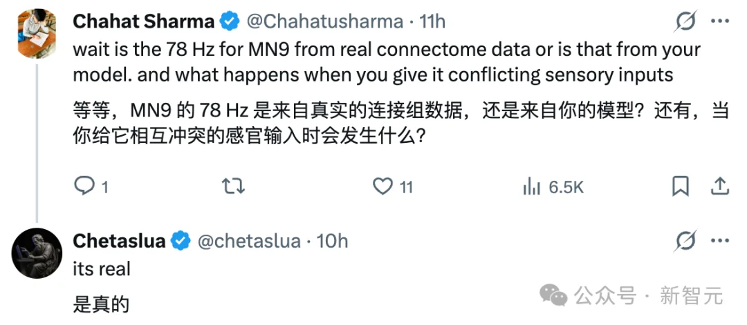 震撼！果蝇大脑成功接上了ChatGPT