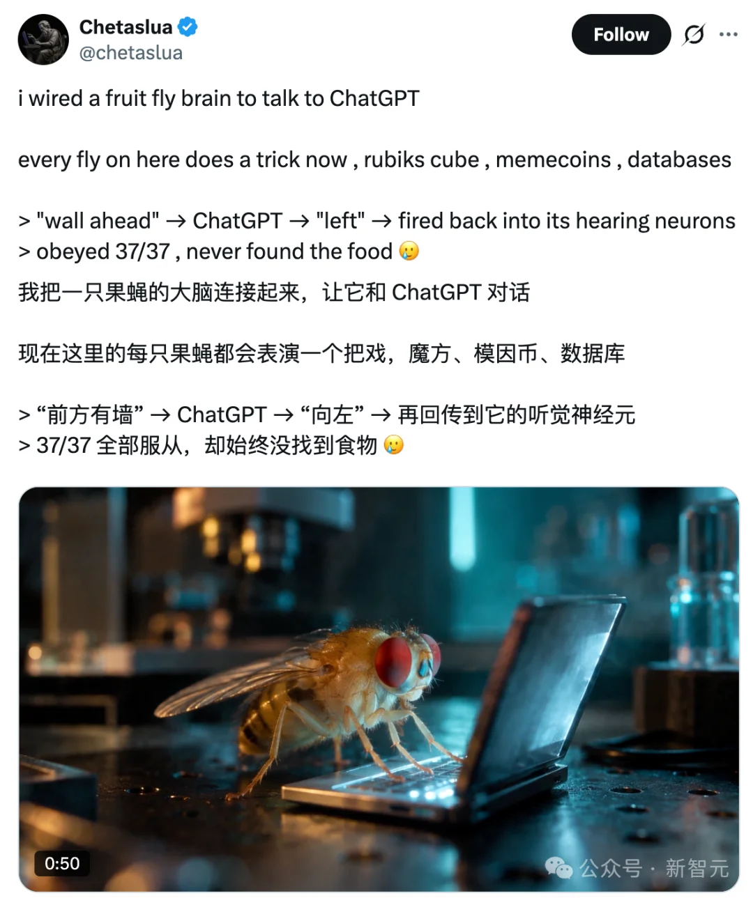 震撼！果蝇大脑成功接上了ChatGPT