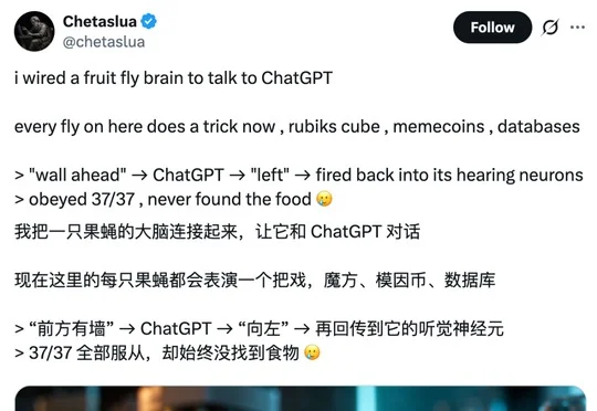 震撼！果蝇大脑成功接上了ChatGPT