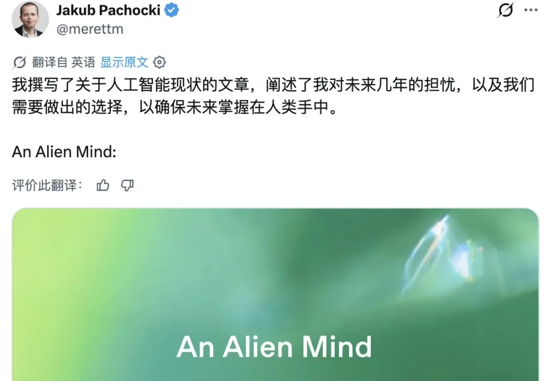 号称人类造的最后一个 AI 要来了，刷屏全网的 RSI 是什么
