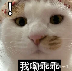 千问7B生图模型开放权重！3090就能跑，2K出图修图抠图全包