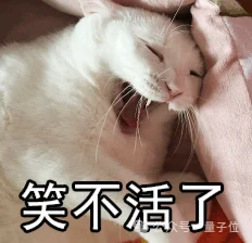 千问7B生图模型开放权重！3090就能跑，2K出图修图抠图全包
