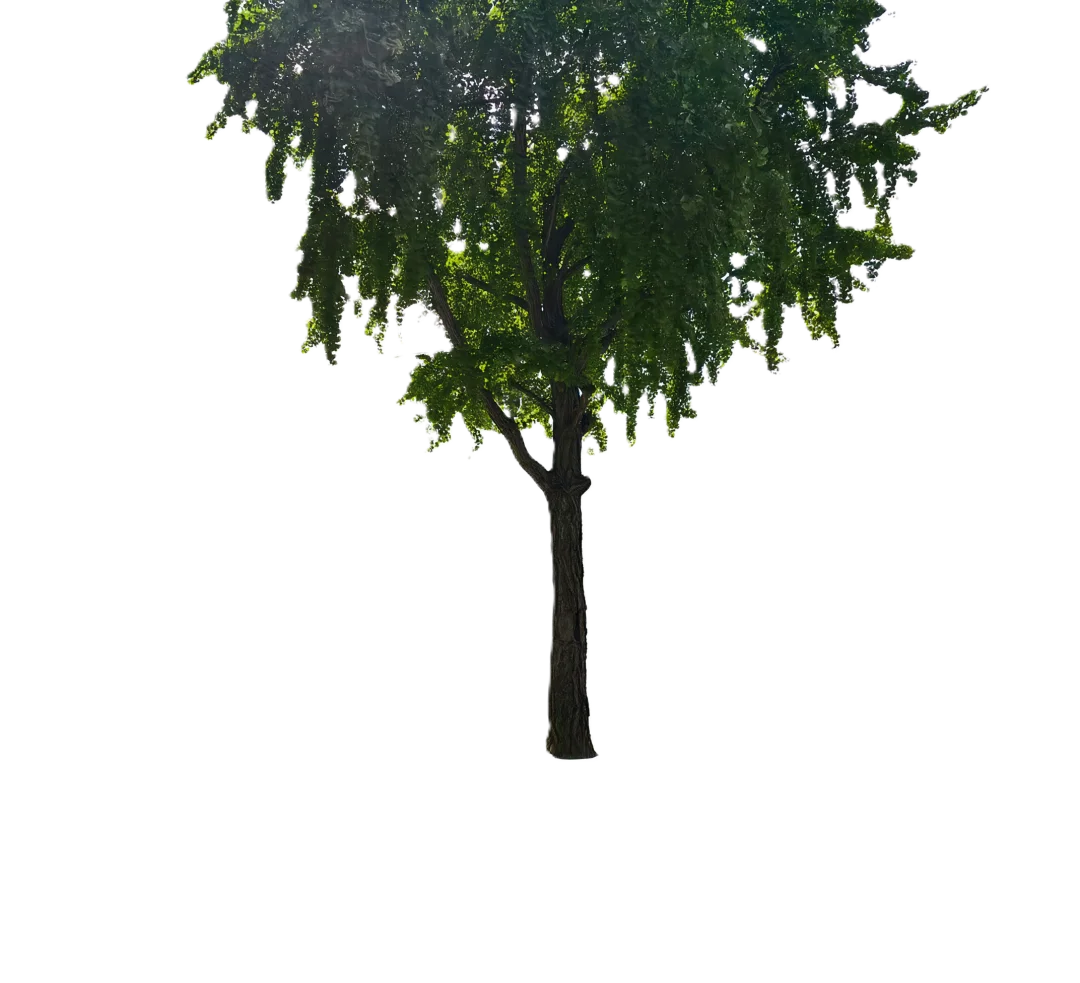 拿下开源生图第一，千问Qwen-Image-2.1把生图卷出新高度