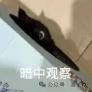 实时世界模型进入“全科生”阶段,PixVerse R2先交卷!