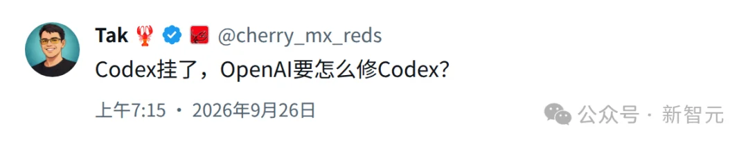 OpenAI黑色星期五!Codex全面宕机,硅谷码农提前「过节」