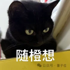 又一个百年数学问题被“AI+外行”攻破
