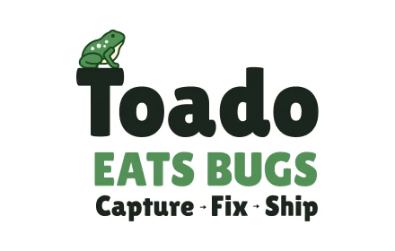 Toado