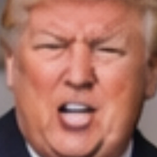 Trumpifier