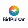 BidPulsar™